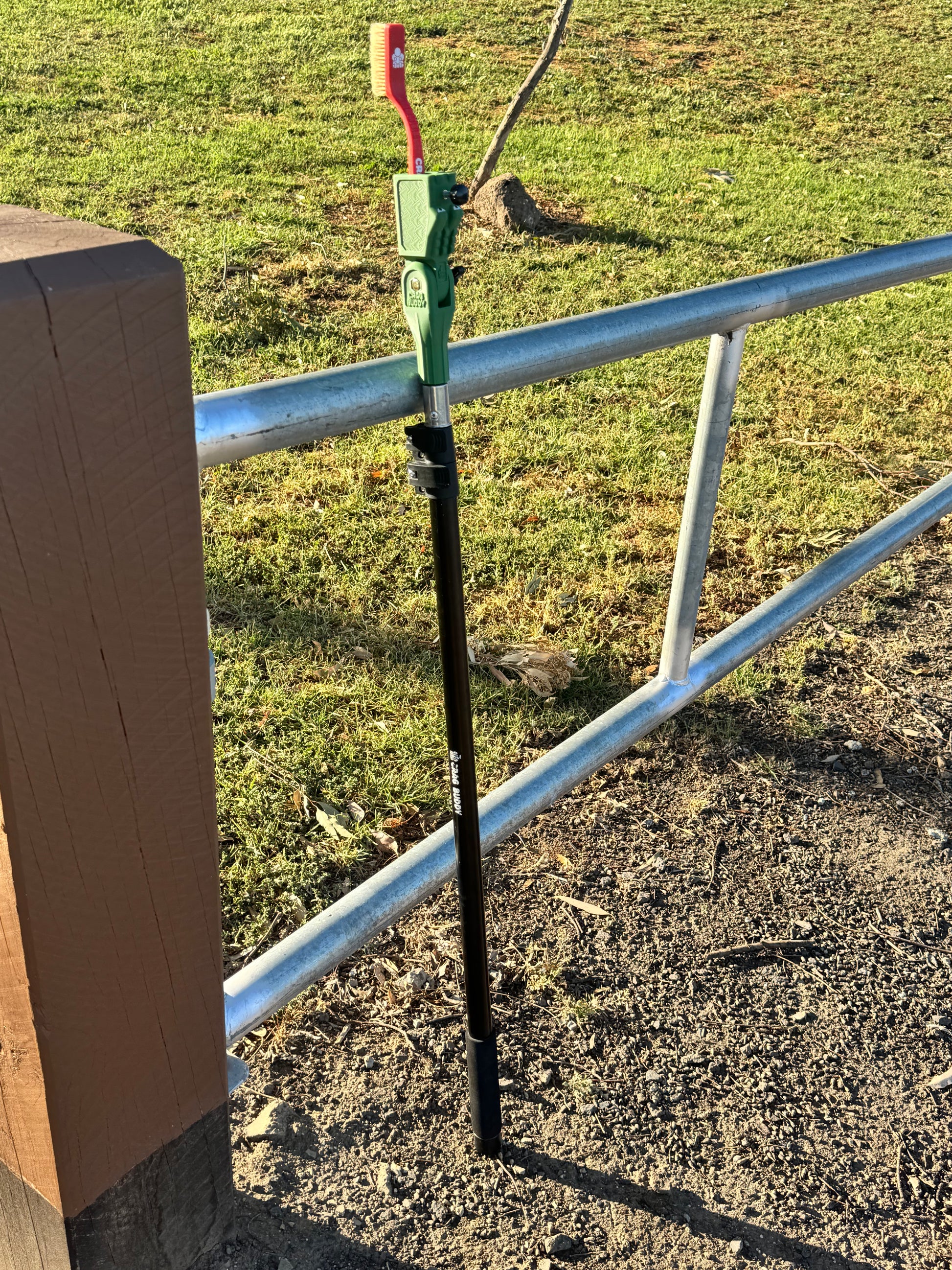 Rex Bundle (PRESALE BUNDLE)