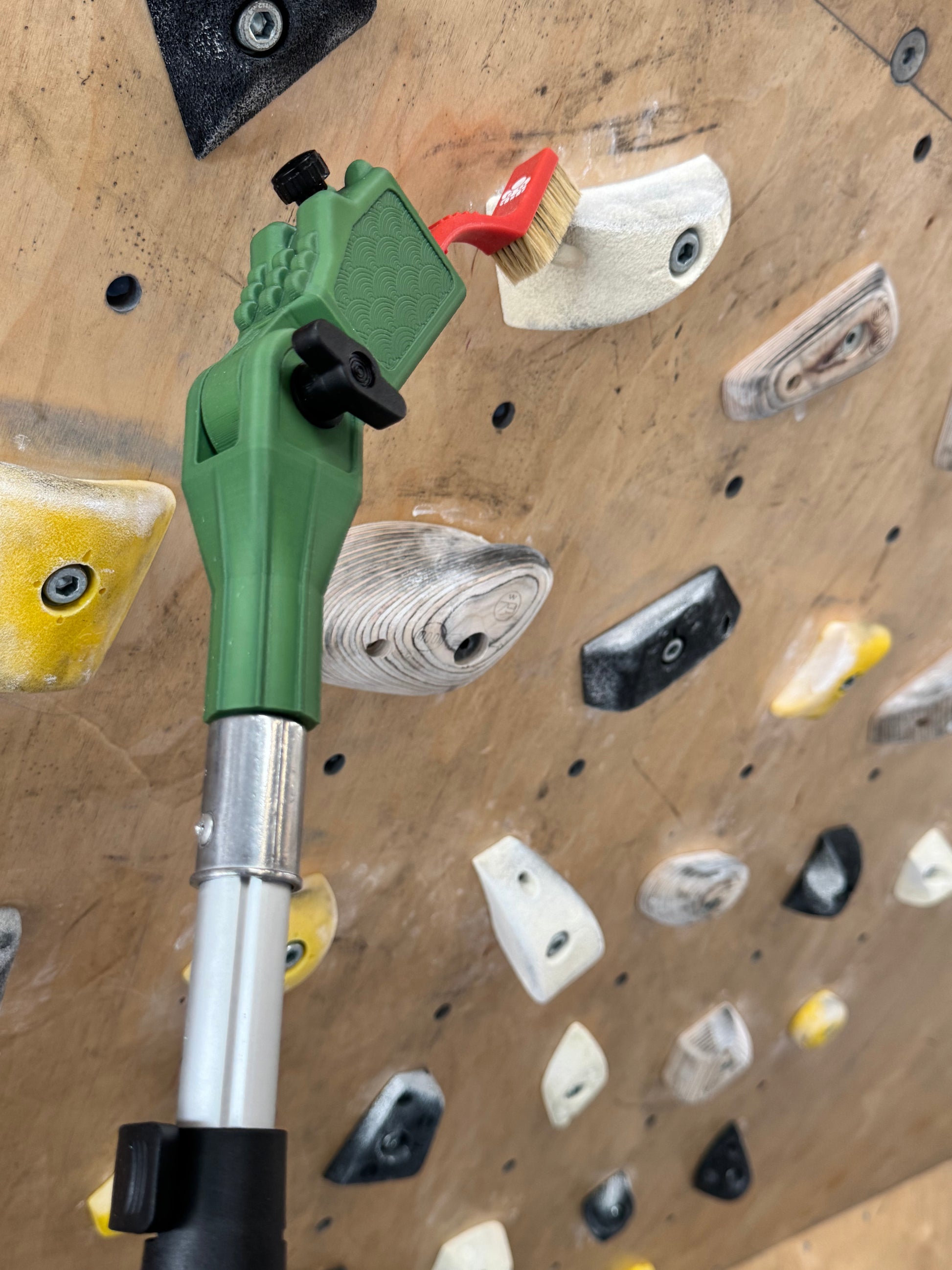 Rex Bundle (PRESALE BUNDLE)